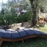 Jelena Porec